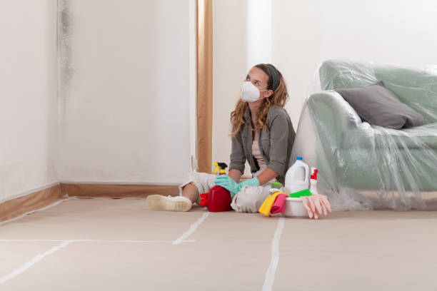 Reliable Mold Remediation contractor in Ashland, MA by WQB Mold Removal